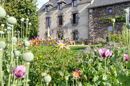 Meilleures maisons de vacances | Lit et petit déjeuné