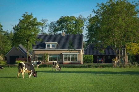 Top Vakantiehuizen | Bed and Breakfast