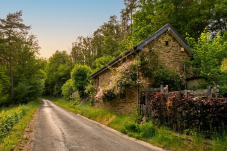 Top Vakantiehuizen | Bed and Breakfast