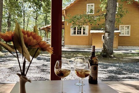 Top Vakantiehuizen | Bed and Breakfast