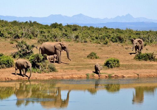 Top Holiday Homes | Bed and breakfast