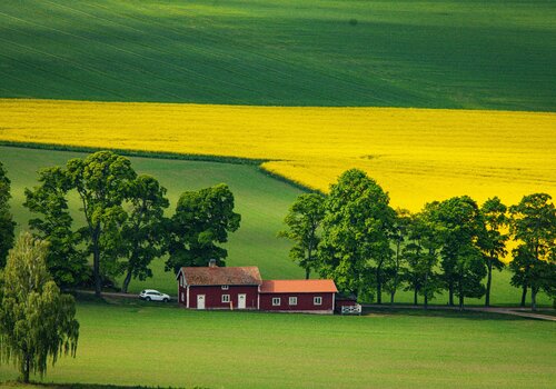 Top Holiday Homes | Bed and breakfast