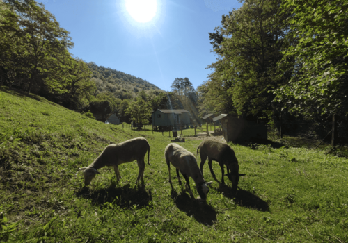 Top Vakantiehuizen | Bed and Breakfast