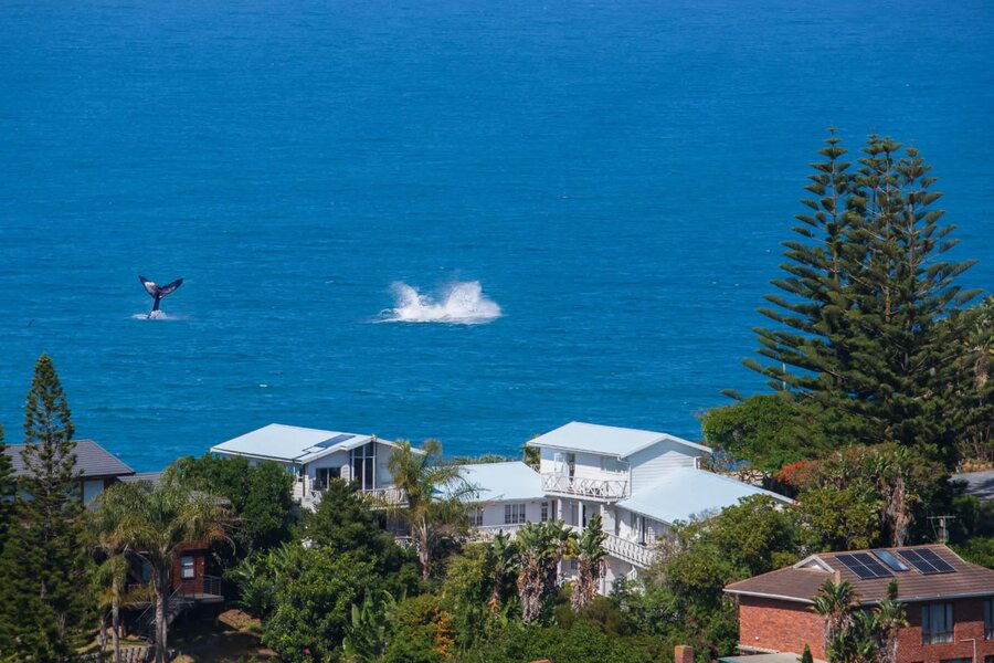 Top Holiday Homes | Bed and breakfast