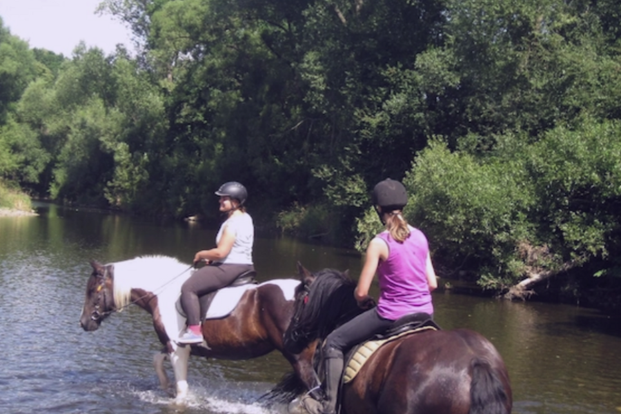 Top Vakantiehuizen | Bed and Breakfast