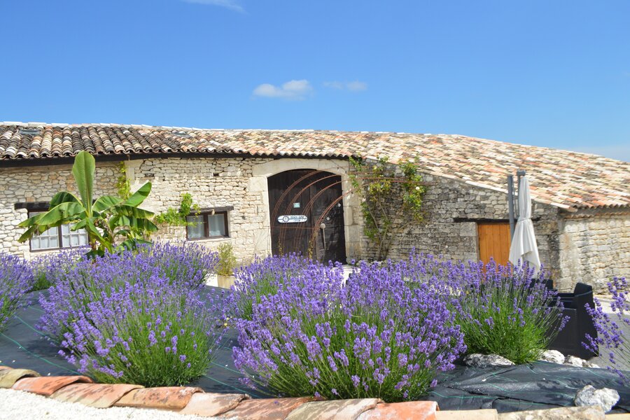 Top Vakantiehuizen | Bed and Breakfast