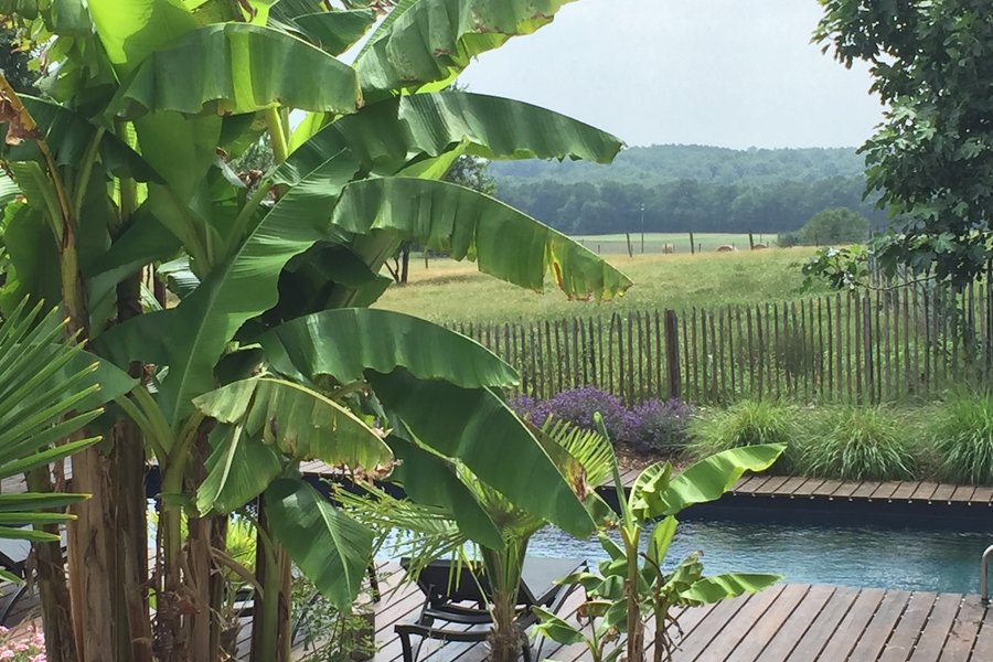 Top Vakantiehuizen | Bed and Breakfast